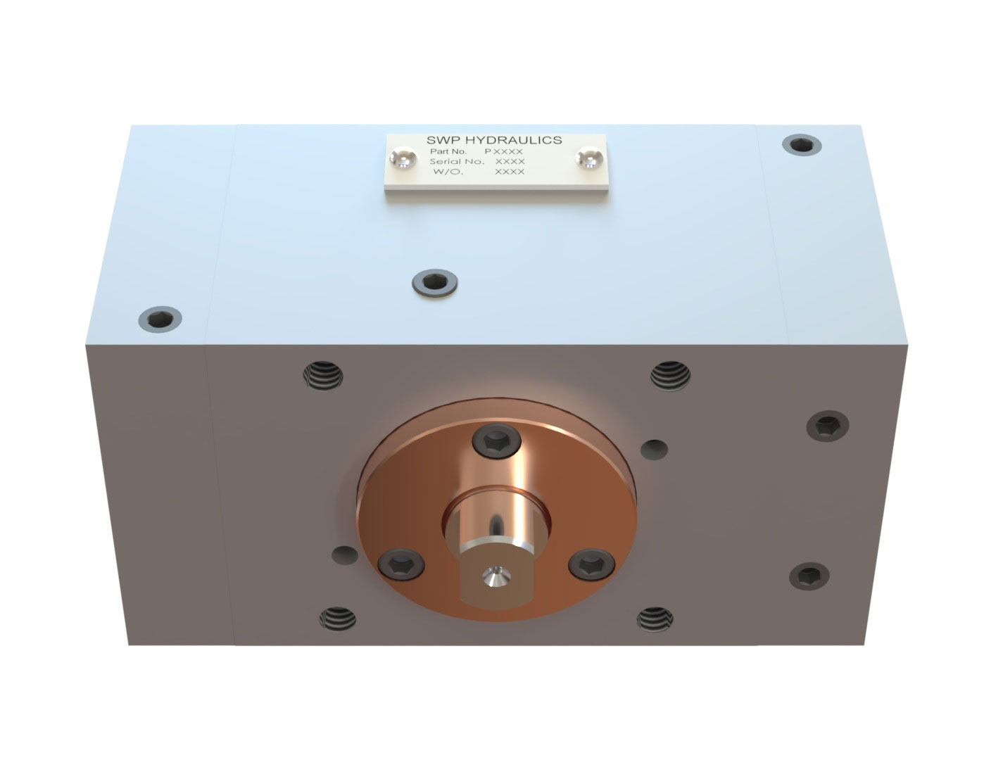 SWP Hydraulics Torqmaster TM2 top view